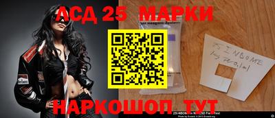 прущие грибы Новозыбков