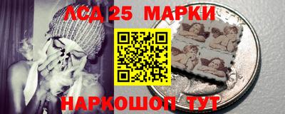 гидра Новодвинск