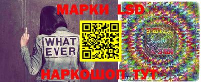 прущие грибы Новозыбков