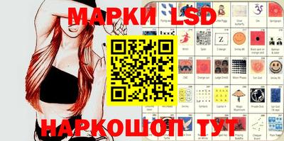 прущие грибы Новозыбков