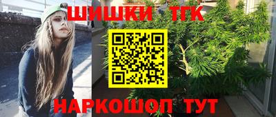 гидра Новодвинск