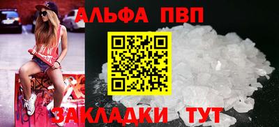 прущие грибы Новозыбков